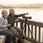 The Joy of Birdwatching: A Relaxing and Engaging Retirement Hobby - guide